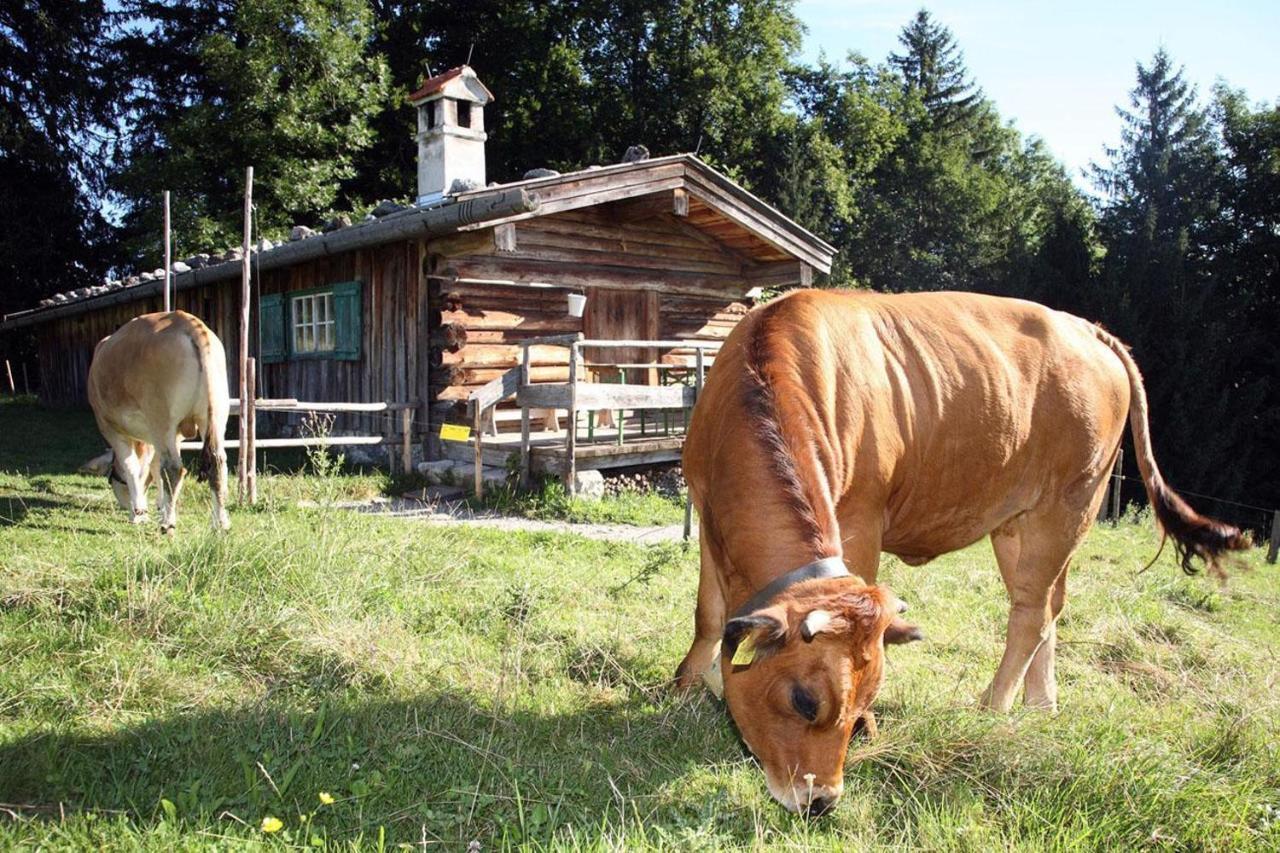 Pension Schösser Fusch an der Grossglocknerstrasse Exteriör bild